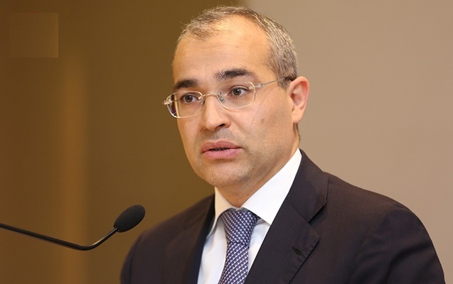 Mikayıl Cabbarov təhsil naziri ilə müzakirələr apardı