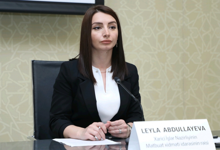 Leyla Abdullayeva Qarabağda minatəmizləmə işlərinin statistikasını açıqladı