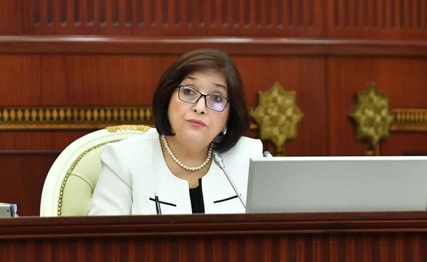 Sahibə Qafarova Vyanada Azərbaycanın pandemiya ilə mübarizəsindən danışdı