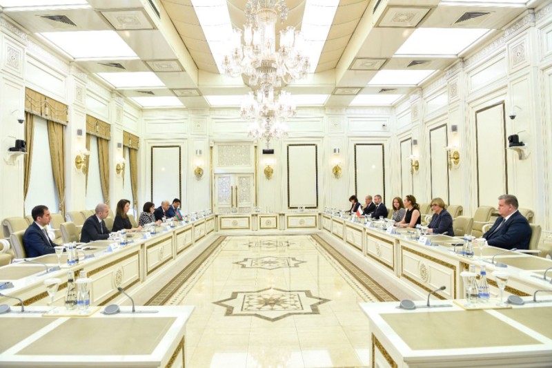 Sahibə Qafarova Polşa parlamentinin nümayəndə heyəti ilə görüşdü