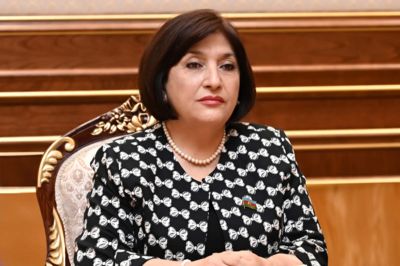 Sahibə Qafarova  Aleksandr Belskilə görüşdü