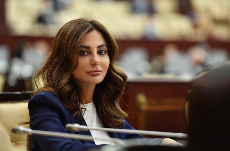 Azərbaycanın təklif etdiyi 5 baza prinsipi beynəlxalq hüquq normalarına söykənir