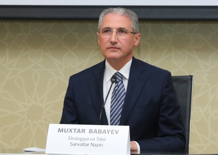 "Şərqi Zəngəzur və Qarabağ iqtisadi bölgəsində dağ-mədən sənayesi mühüm yer tutacaq" -