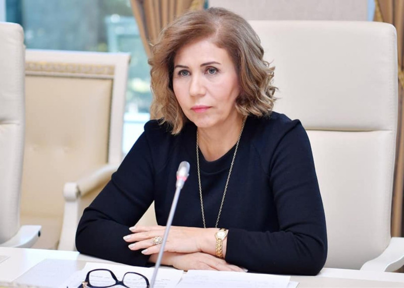 "İşə qəbul zamanı boşluqlar diqqətdə saxlanmalıdır" -