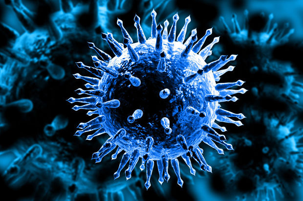 Yeni virus pandemiyaya səbəb ola bilər -