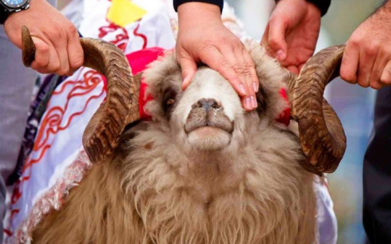 Qurban bayramında 4 gün ardıcıl iş olmayacaq