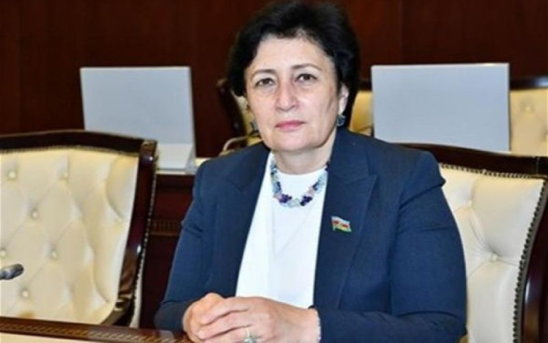 " Ramiz Mehdiyev və onun silahdaşları mütləq qanun qarşısında cavab verəcək" -